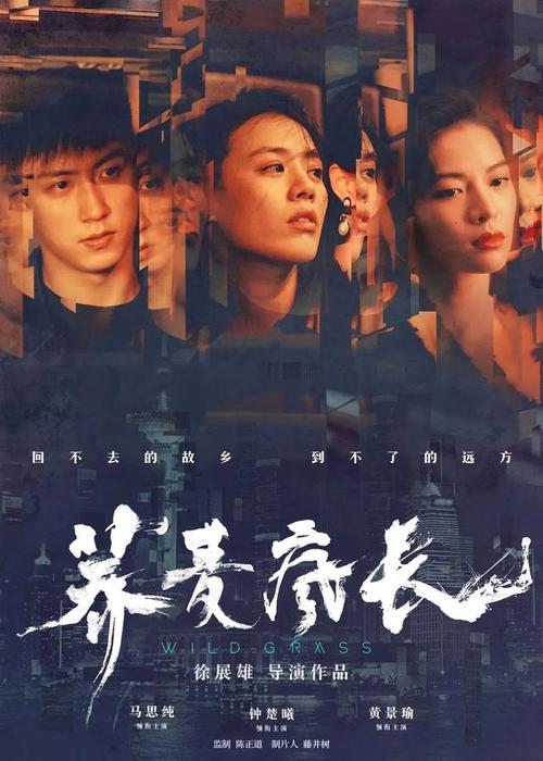 德国驾照怎么购买